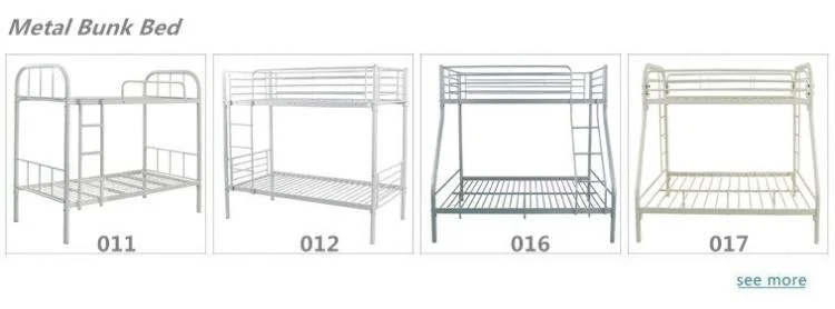 Doll Bed Slide Quadruple Loft Bed for Adults in Mumbai Pune